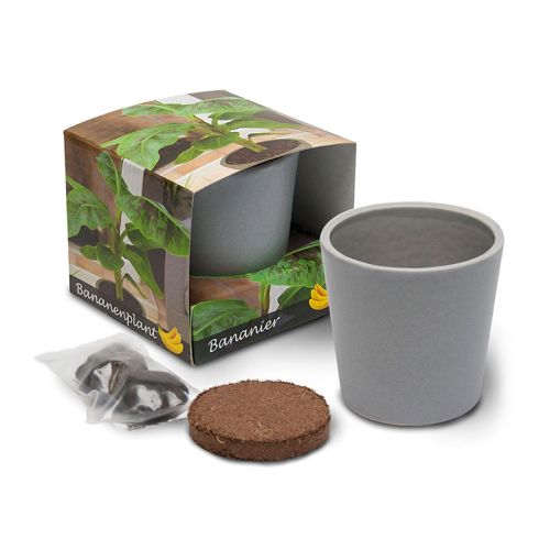 Keramisk potte med unikke frø - Billede 3